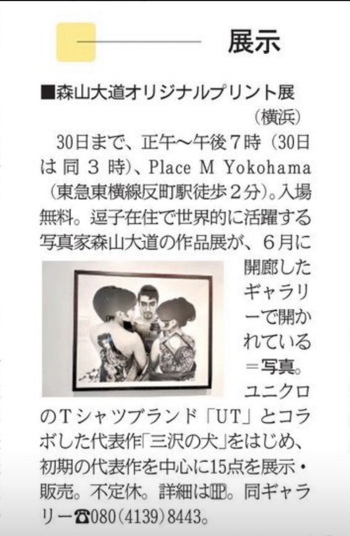 神奈川新聞