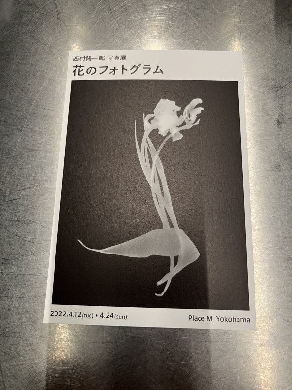 「花のフォトグラム」