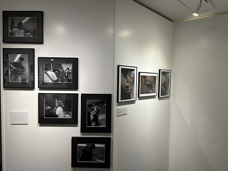 ｢夏展｣