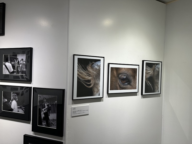 ｢夏展｣