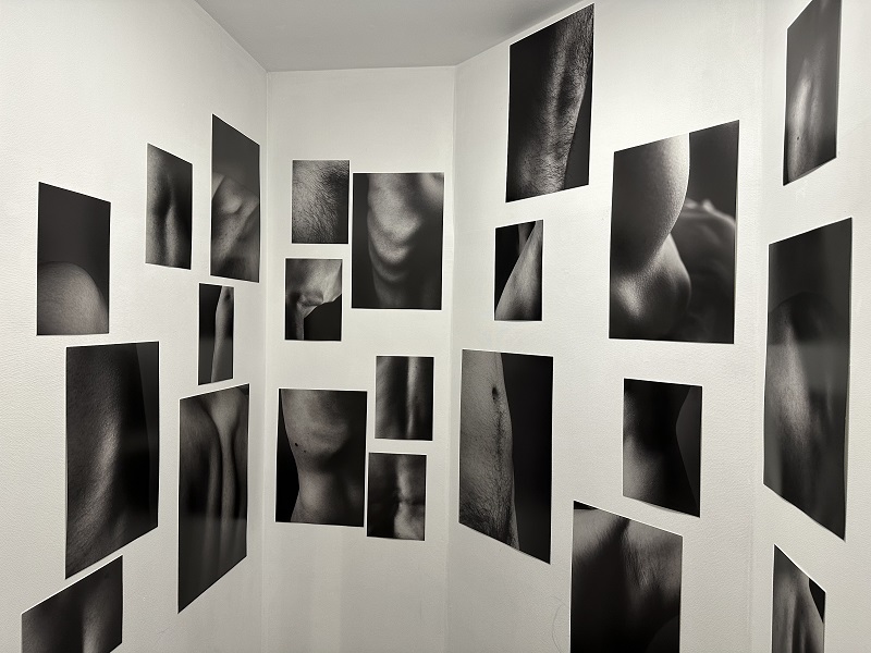 ｢夏展｣